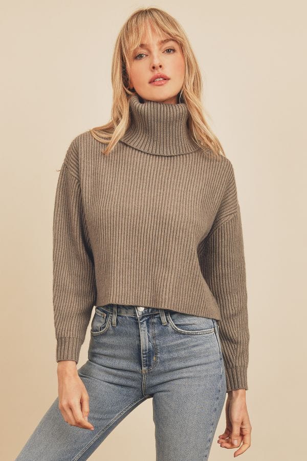 Pewter Chunky Ribbed Knit Cropped Turtleneck Sweater Top